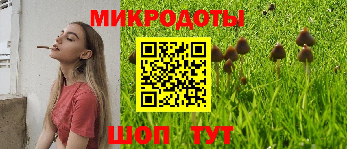 Псилоцибиновые грибы мухоморы Астрахань