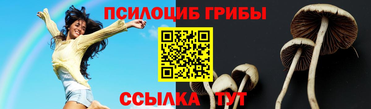 Псилоцибиновые грибы ЛСД  Вход с VPN  Астрахань  Галлюциногенные грибы Magic Shrooms 